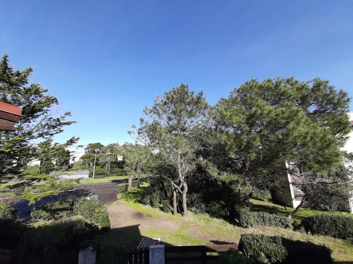 Maison Renovee Avec Terrasse A 700M Des Plages, Marche Et Activites - Tennis Et Piste Cyclable A 10M - Fr-1-239-385 Seignosse Buitenkant foto